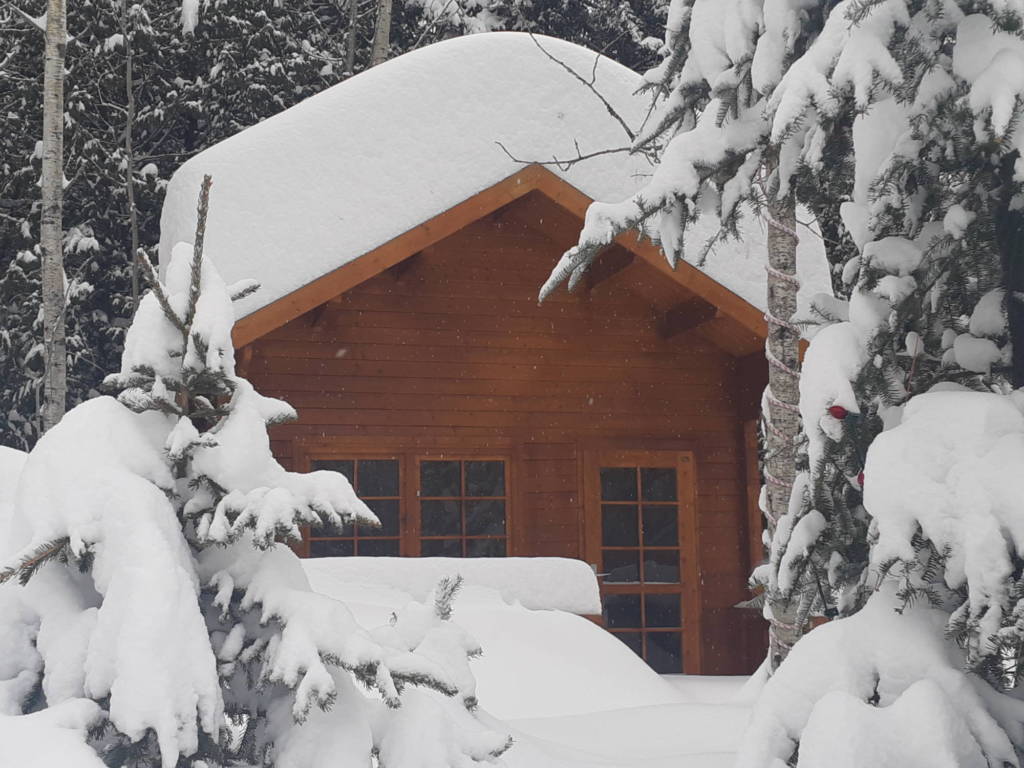 Peacock-Lofted-shed-snow-2-1024x768